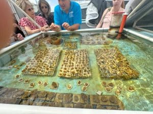 A group of people leans over a shallow tank, looking at many small rectangular samples laid out on mesh trays inside the water, while a man in a blue shirt explains something.